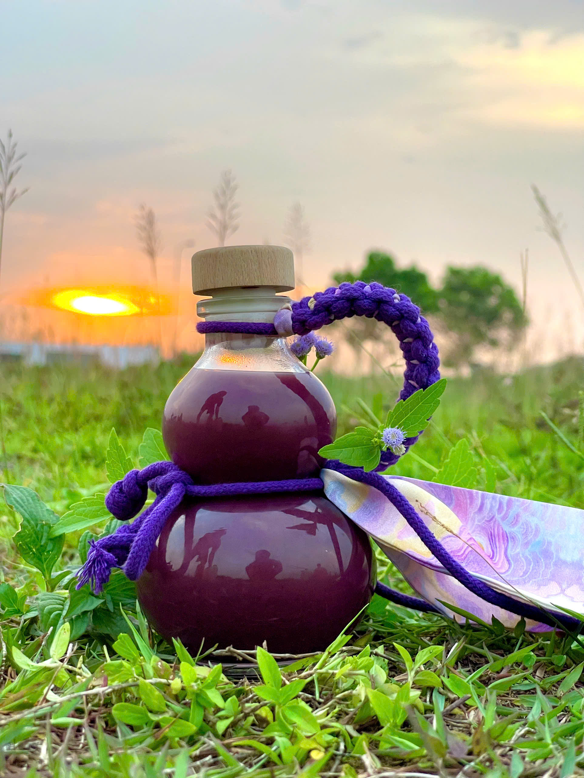 Rượu Nếp Cẩm Đặc Biệt