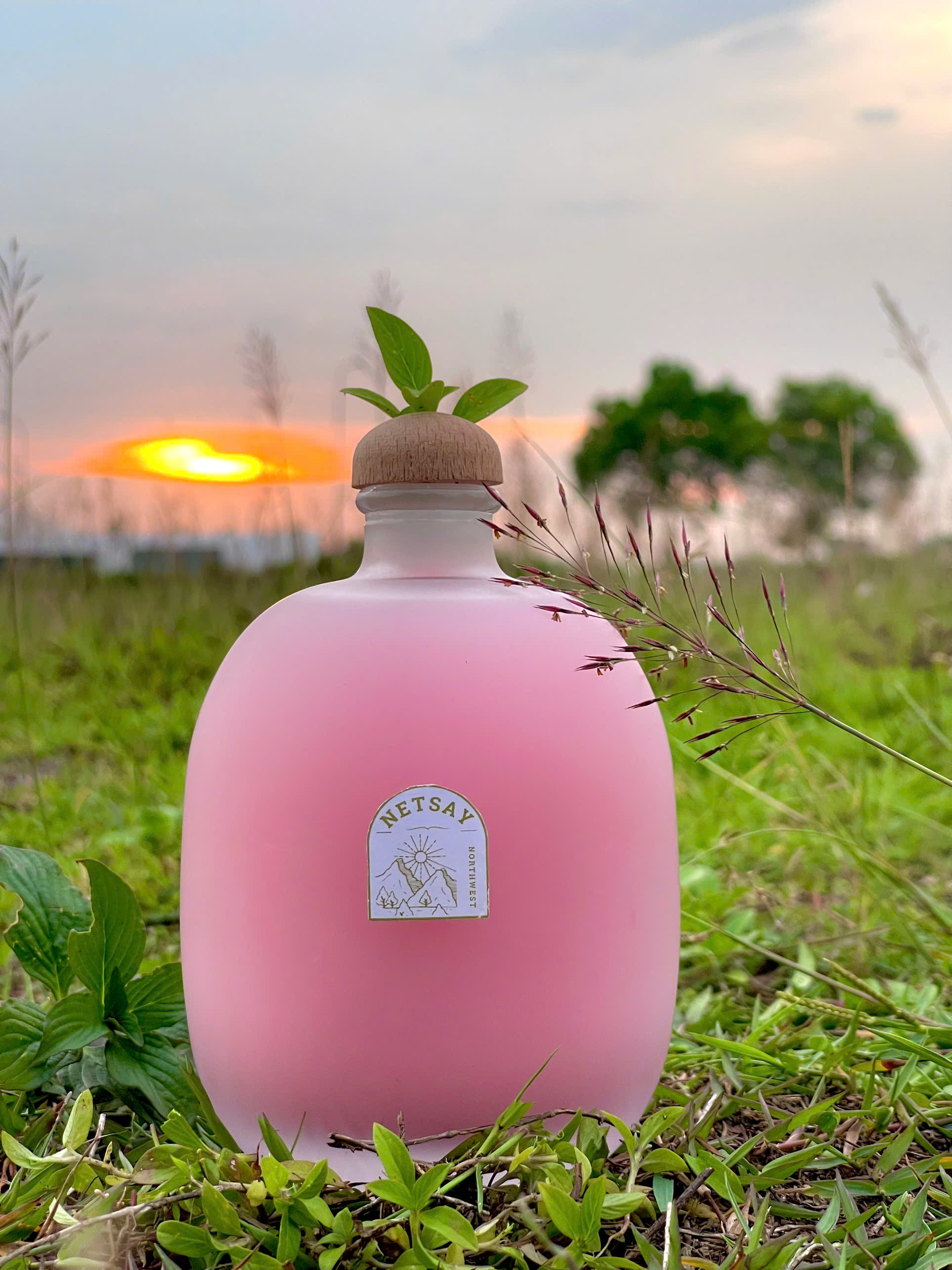 Rượu Dâu Premium